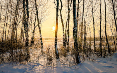 Recipe of a Photo: Winter Sunrise Landscape
