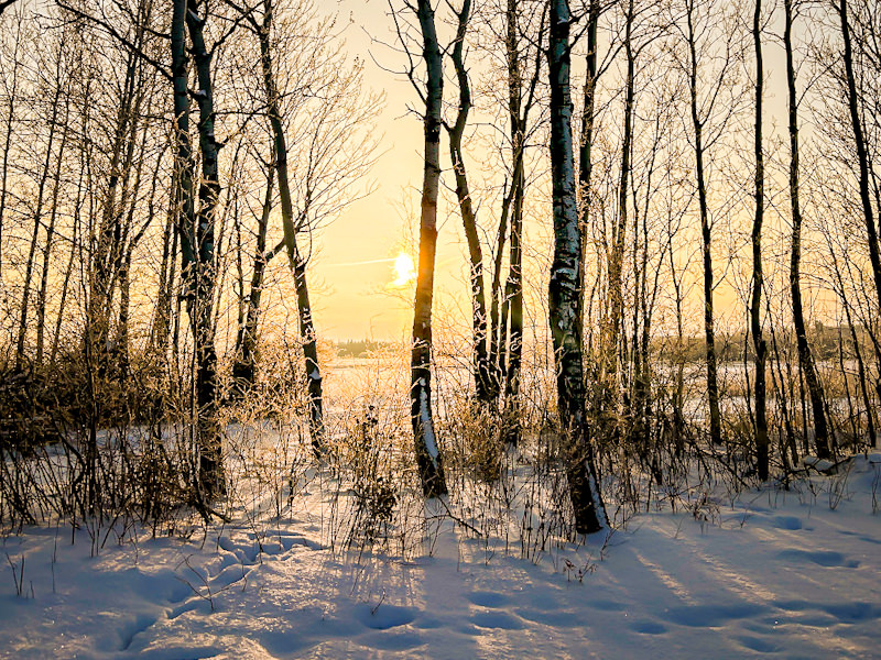 Recipe of a Photo: Winter Sunrise Landscape