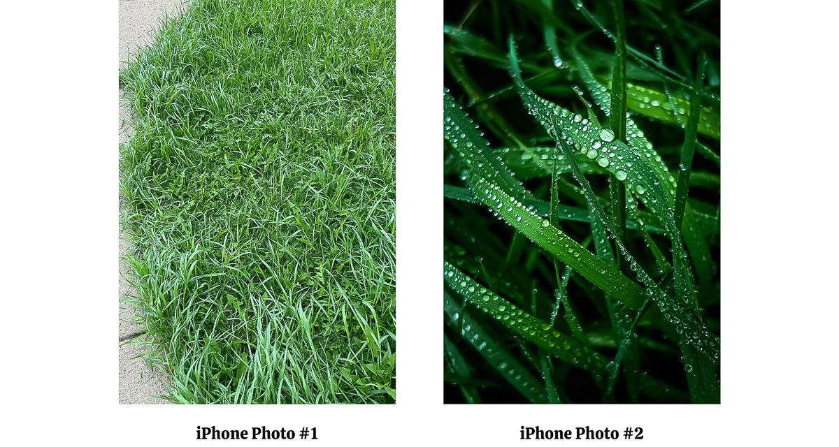 Why Your iPhone Photos Look Bad