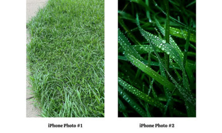 Why Your iPhone Photos Look Bad
