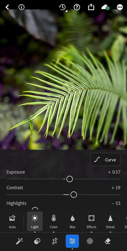 Custom Lightroom Mobile preset boosting texture and reducing highlights on a fern leaf photo