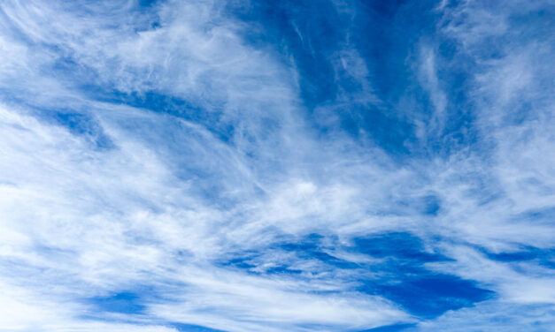 A Critique of My Own Photos: 2025 Edition