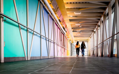 Follow My Check List For Better Photos On Your Phone