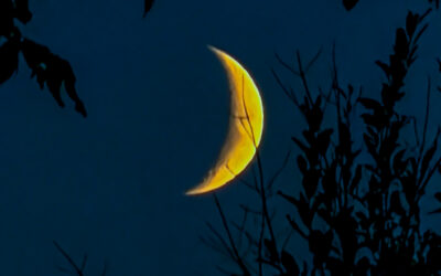 Take Better Moon Photos With Your iPhone Camera With These 5 Steps